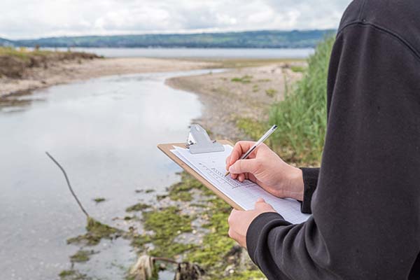 A person taking notes next to a wetland